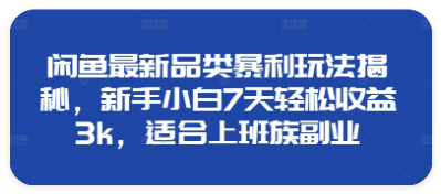 闲鱼最新品类玩法揭秘，适合上班族副业