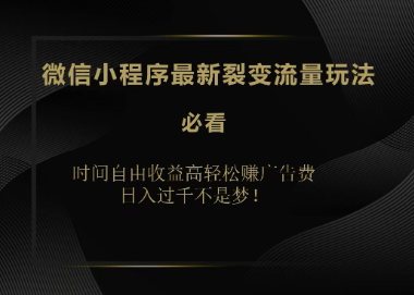 微信小程序最新裂变流量玩法，时间自由收益 高轻松赚广告费