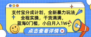 蓝海0门槛，支付宝分成计划，全新暴力玩 法，全程实操，干货满满