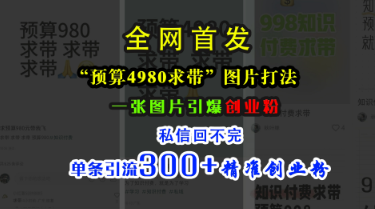 小红书“预算4980带我飞”图片打法，一张图片 引爆创业粉，